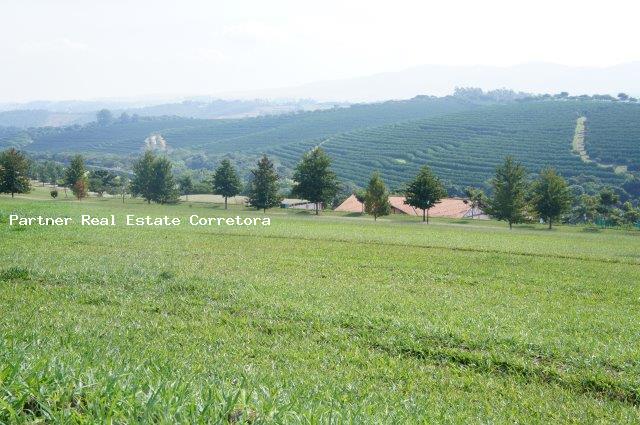 Terreno, 3354 m² - Foto 33