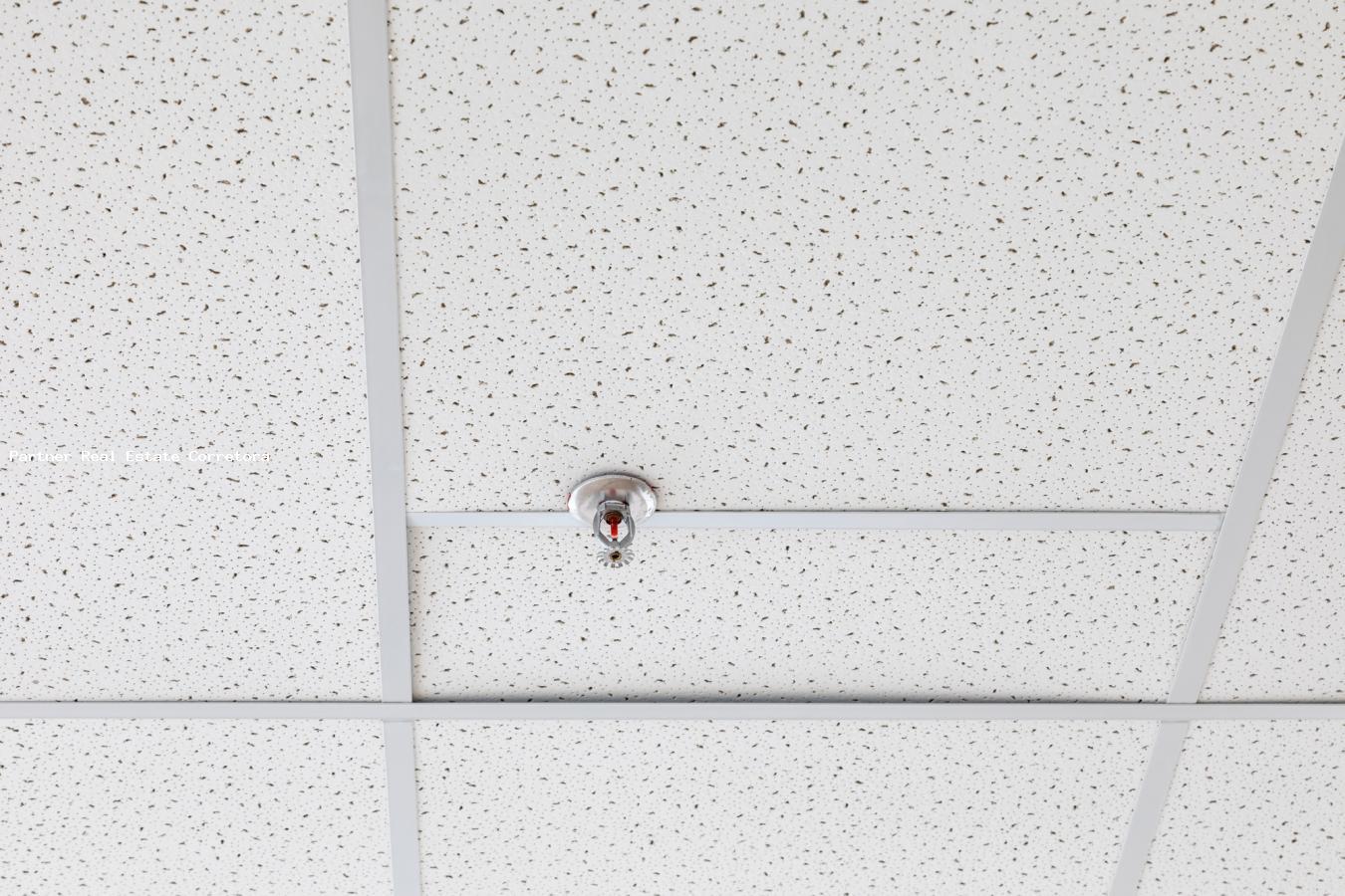 Prédio Inteiro, 4500 m² - Foto 34