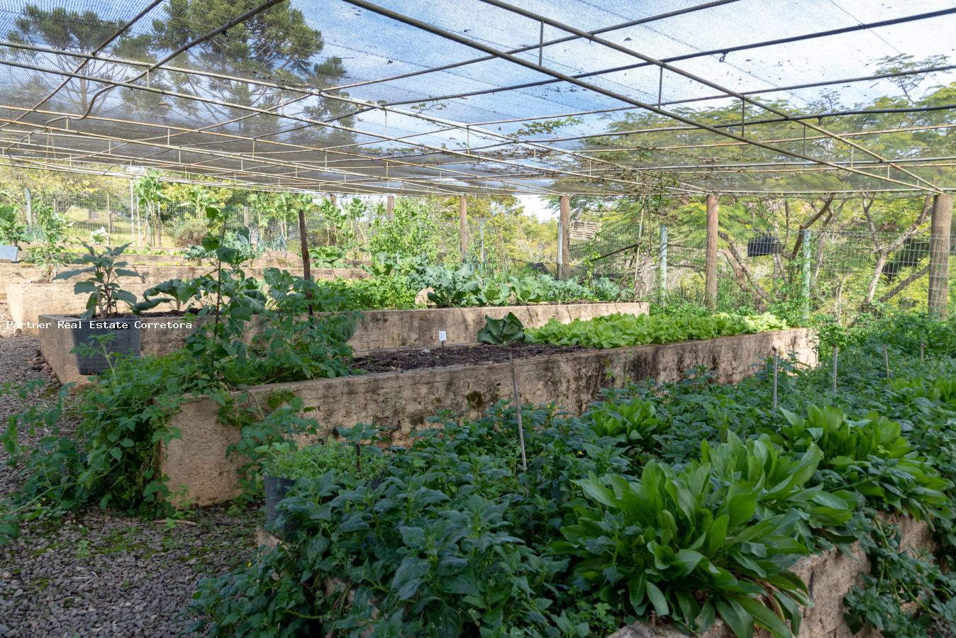 Chácara, 6 quartos - Foto 30