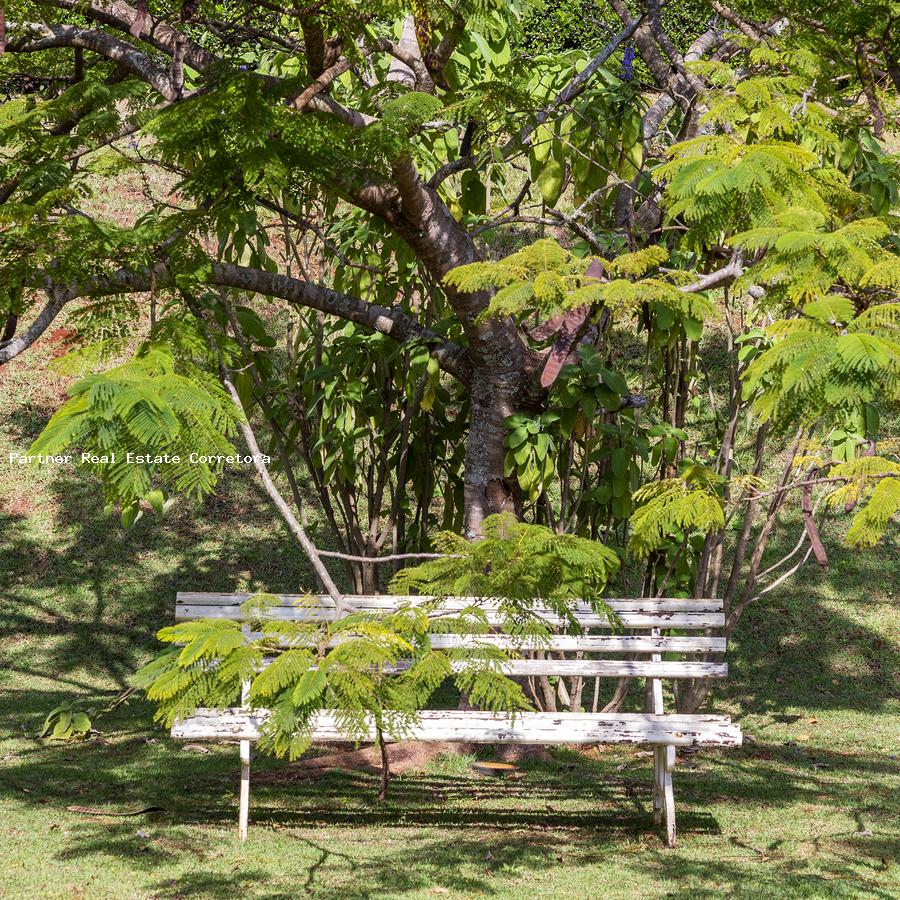 Casa, 4 quartos, 20000 m² - Foto 39