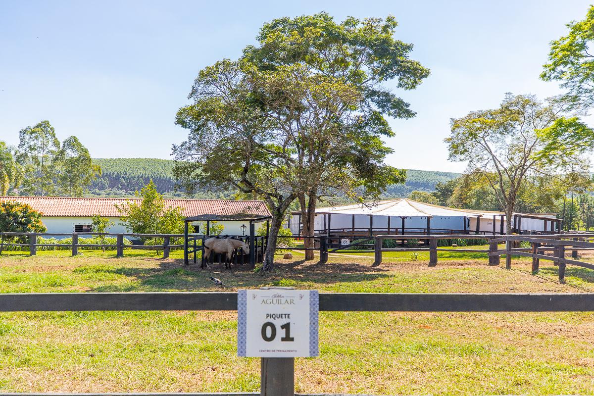 Sítio, 3 quartos, 133100 m² - Foto 6