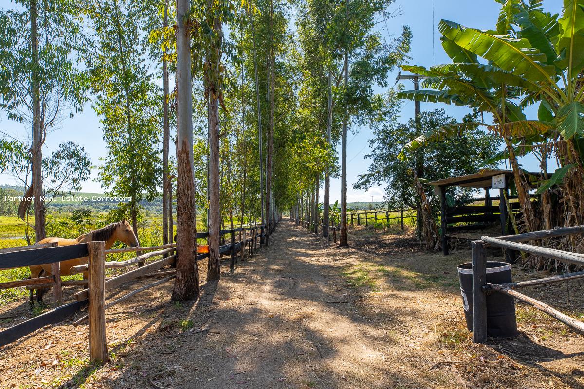 Sítio, 3 quartos, 133100 m² - Foto 15
