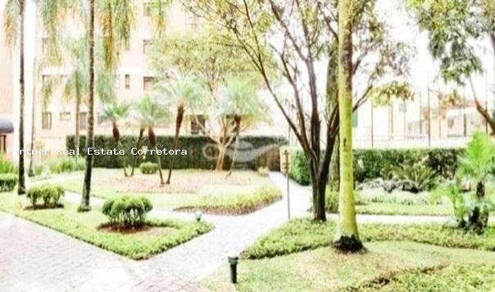 Apartamento, 4 quartos, 541 m² - Foto 18