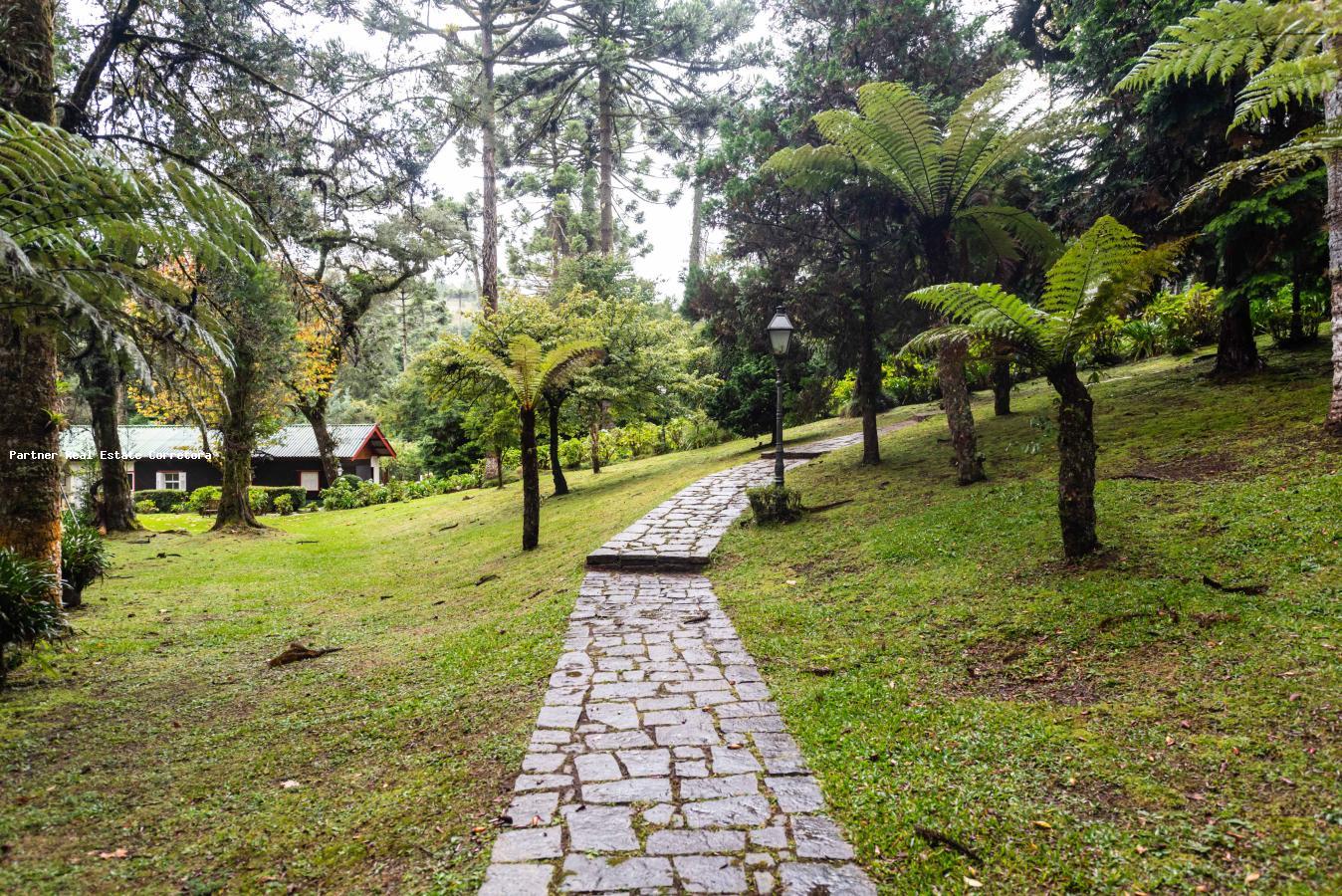 Casa, 4 quartos, 4474 m² - Foto 32