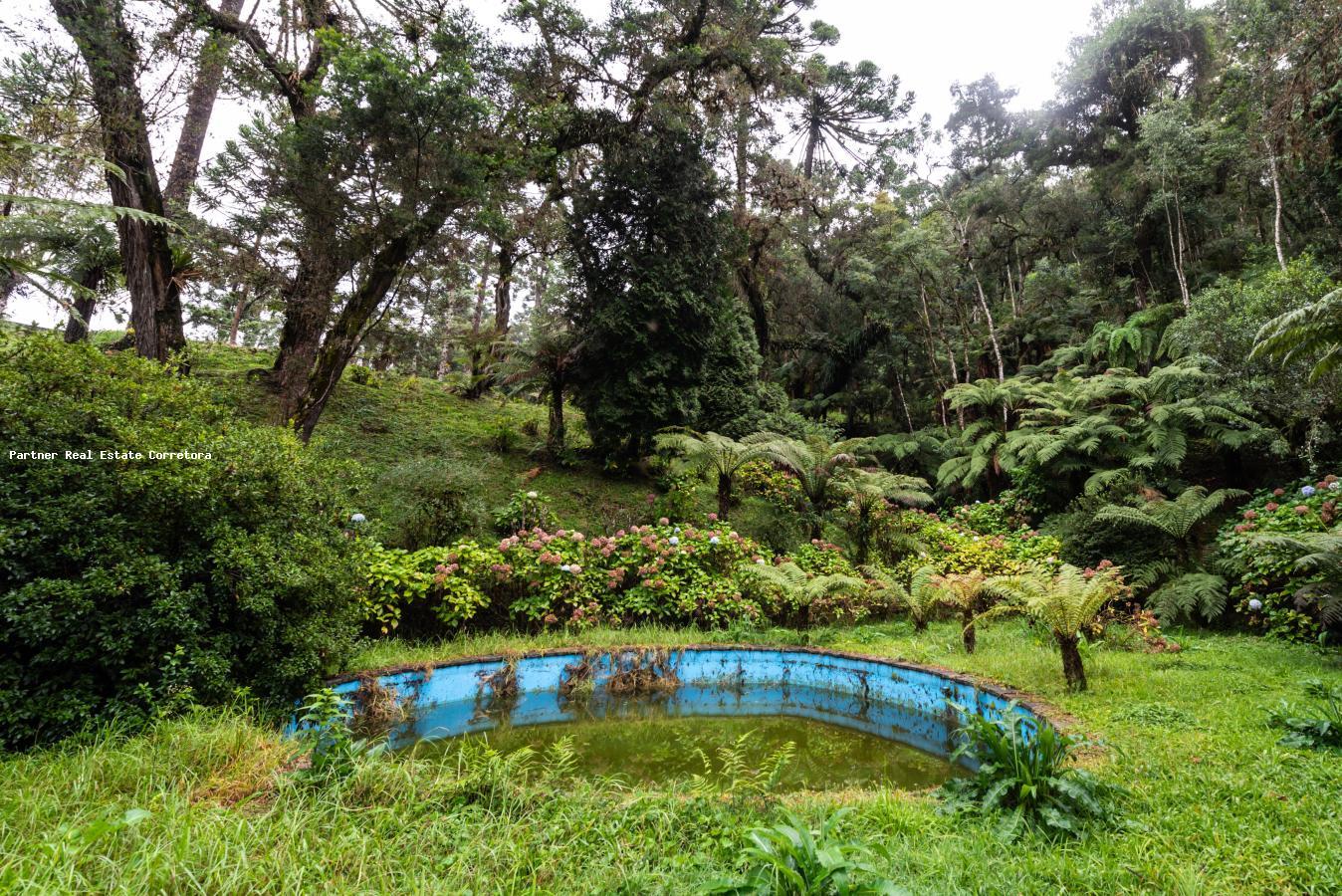 Casa, 4 quartos, 4474 m² - Foto 37