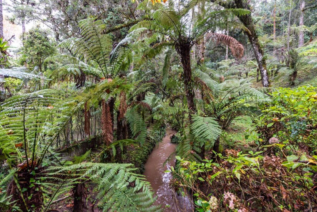 Casa, 4 quartos, 4474 m² - Foto 39