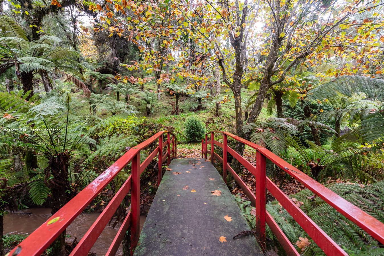 Casa, 4 quartos, 4474 m² - Foto 40