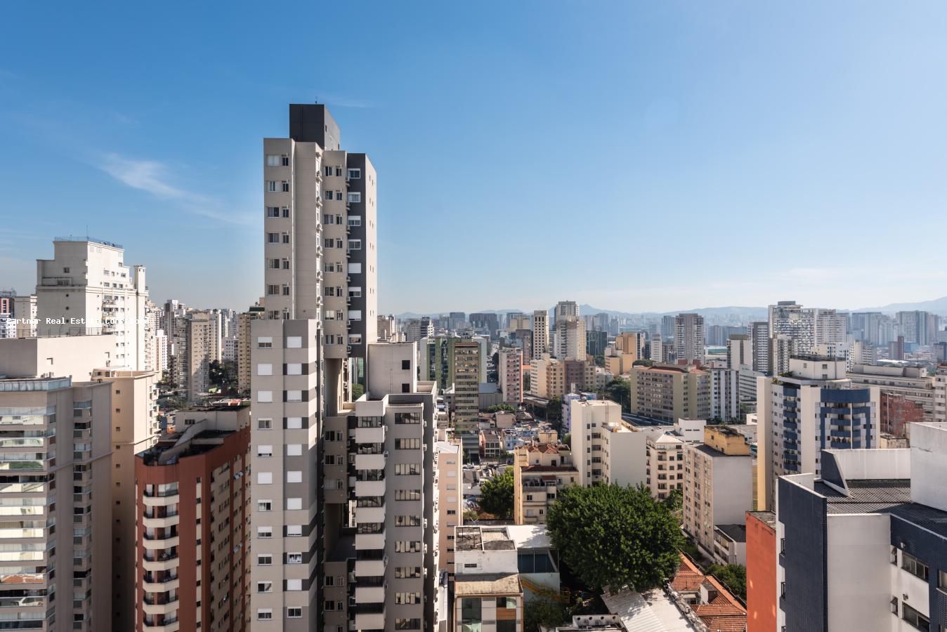 Apartamento, 4 quartos, 225 m² - Foto 50