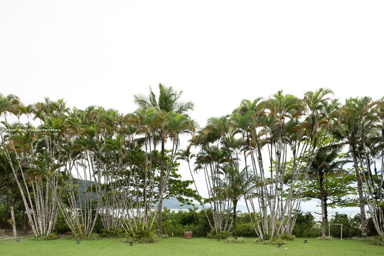 Casa, 6 quartos, 1200 m² - Foto 7