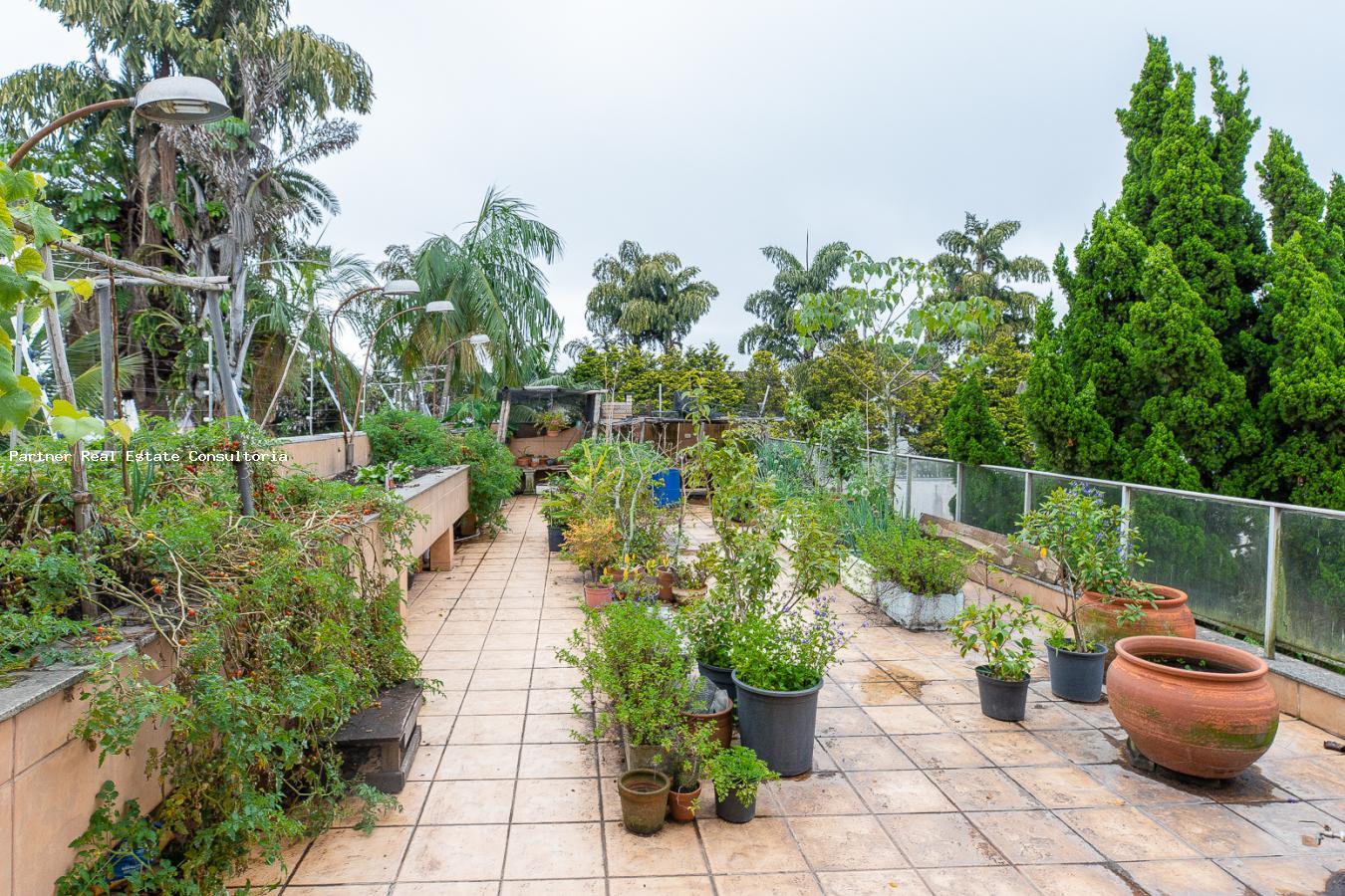Casa, 4 quartos, 1000 m² - Foto 36