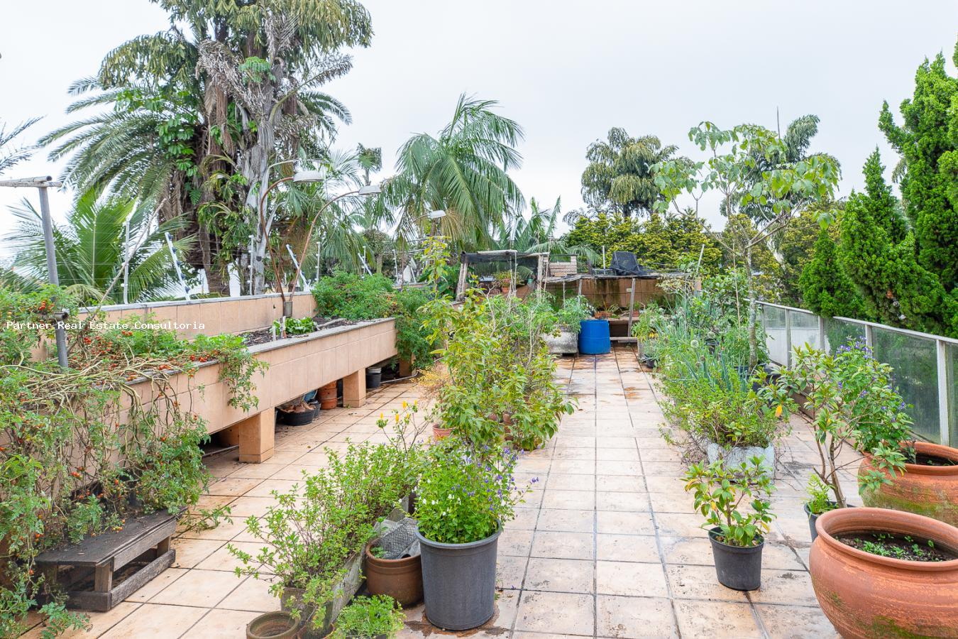 Casa, 4 quartos, 1000 m² - Foto 37