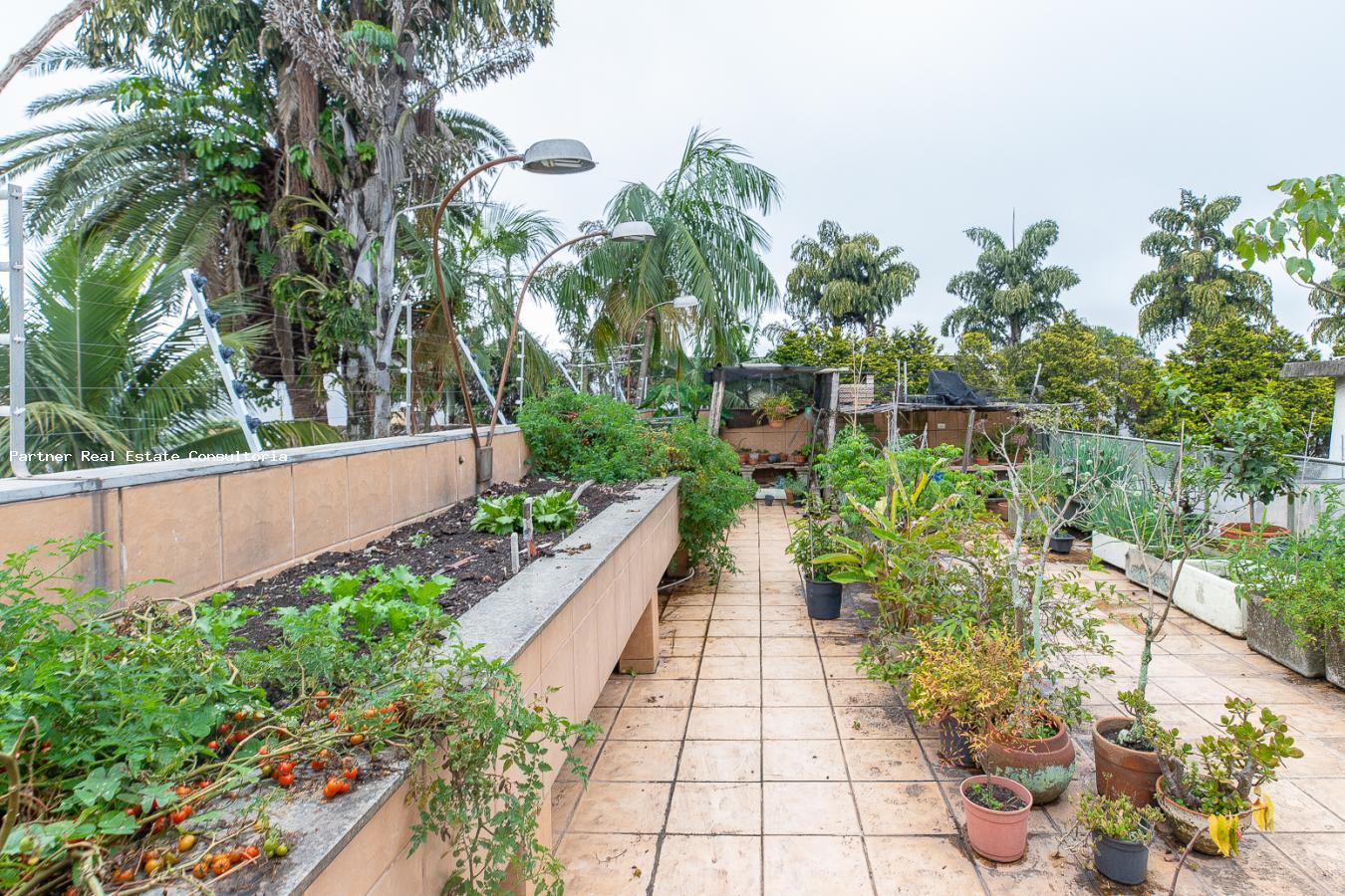 Casa, 4 quartos, 1000 m² - Foto 38