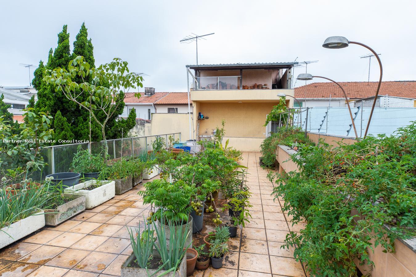 Casa, 4 quartos, 1000 m² - Foto 39