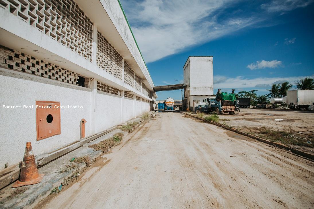 Depósito-Galpão, 31000 m² - Foto 31