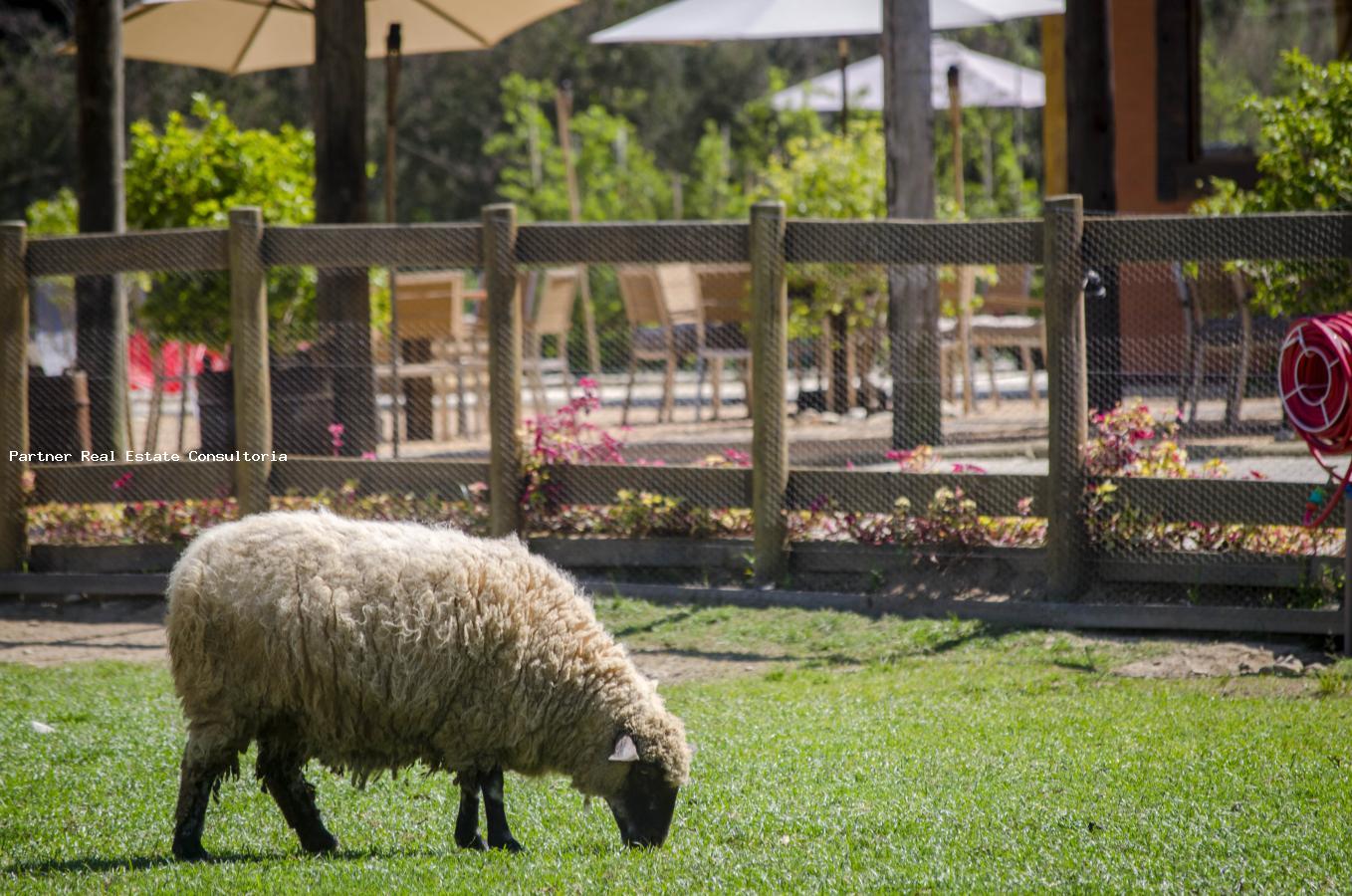 Chácara, 5 quartos - Foto 41