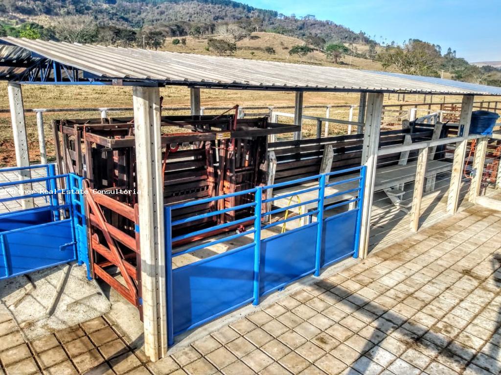 Fazenda, 1 quarto - Foto 6