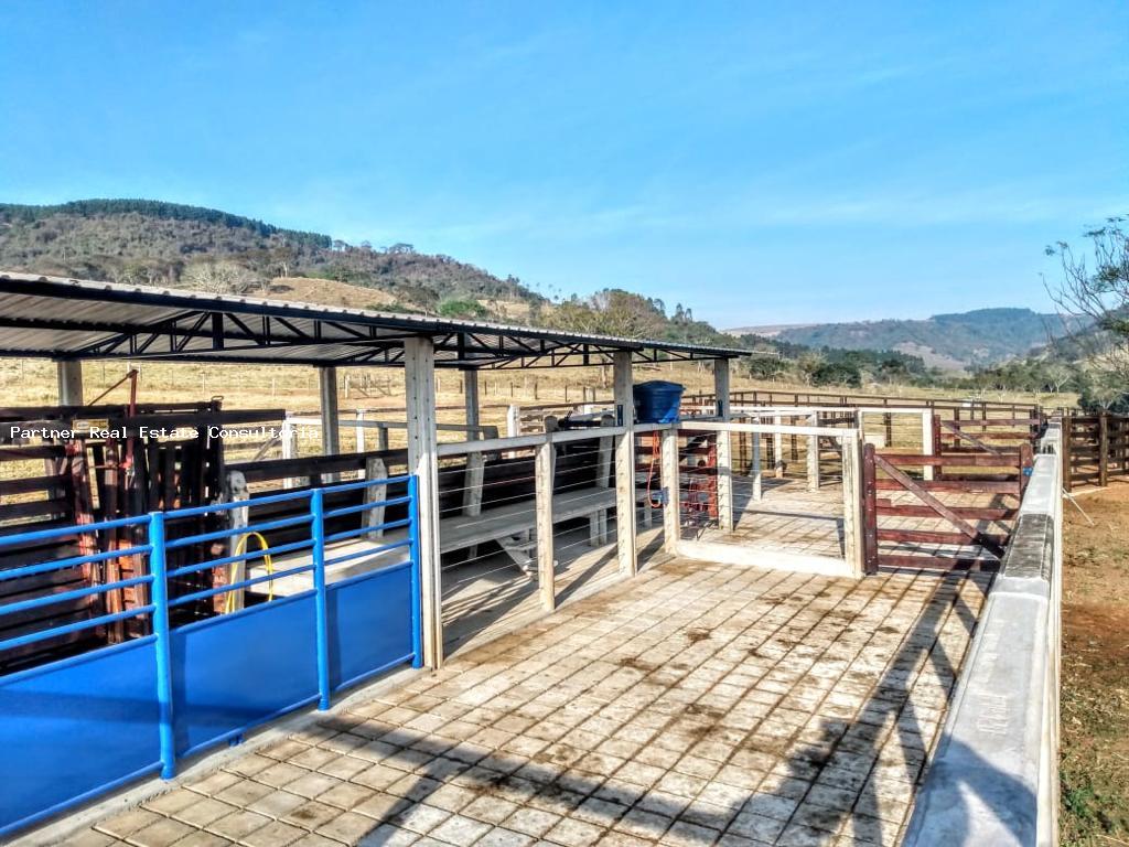 Fazenda, 1 quarto - Foto 5