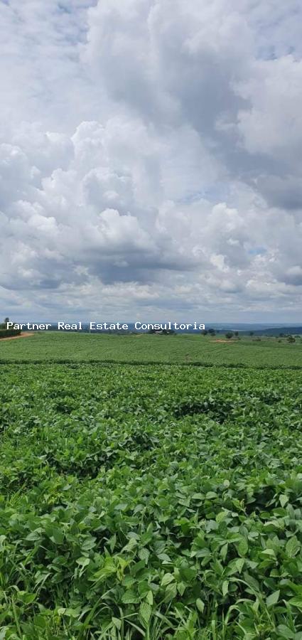 Fazenda, 4 quartos - Foto 5