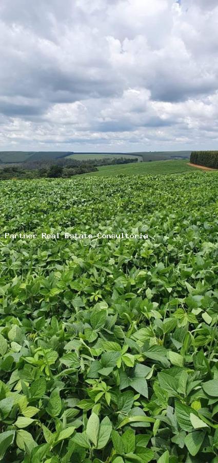 Fazenda, 4 quartos - Foto 4