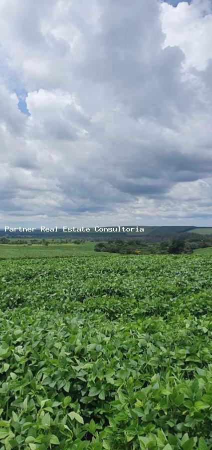 Fazenda, 4 quartos - Foto 7