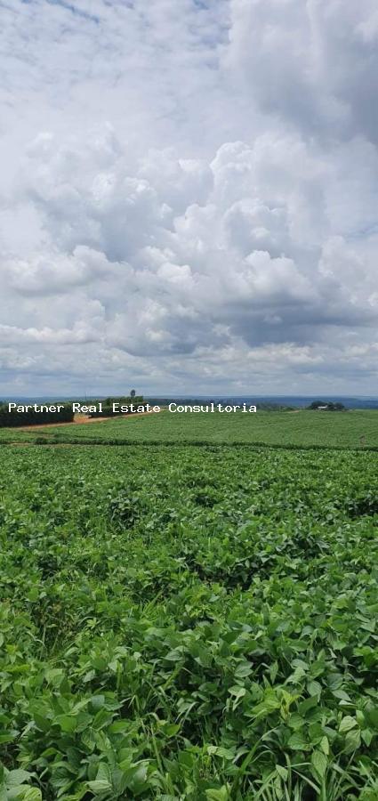 Fazenda, 4 quartos - Foto 10