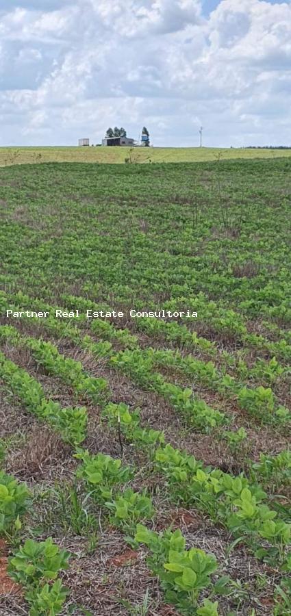 Fazenda, 4 quartos - Foto 1