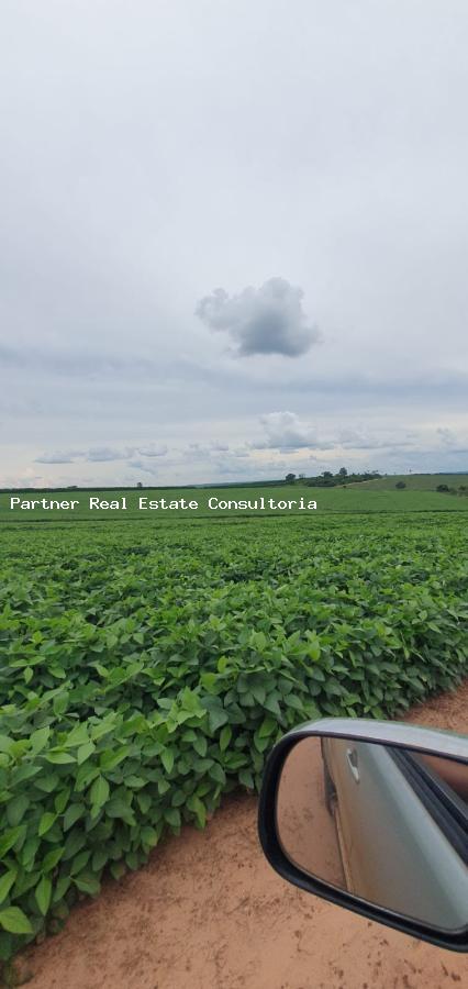 Fazenda, 4 quartos - Foto 15