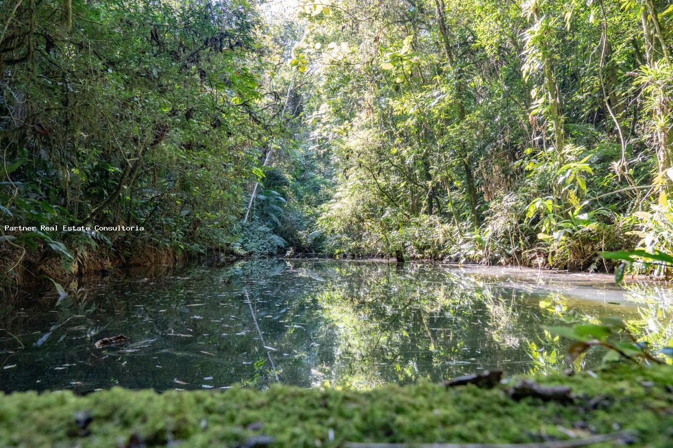 Casa, 3 quartos, 79 m² - Foto 28