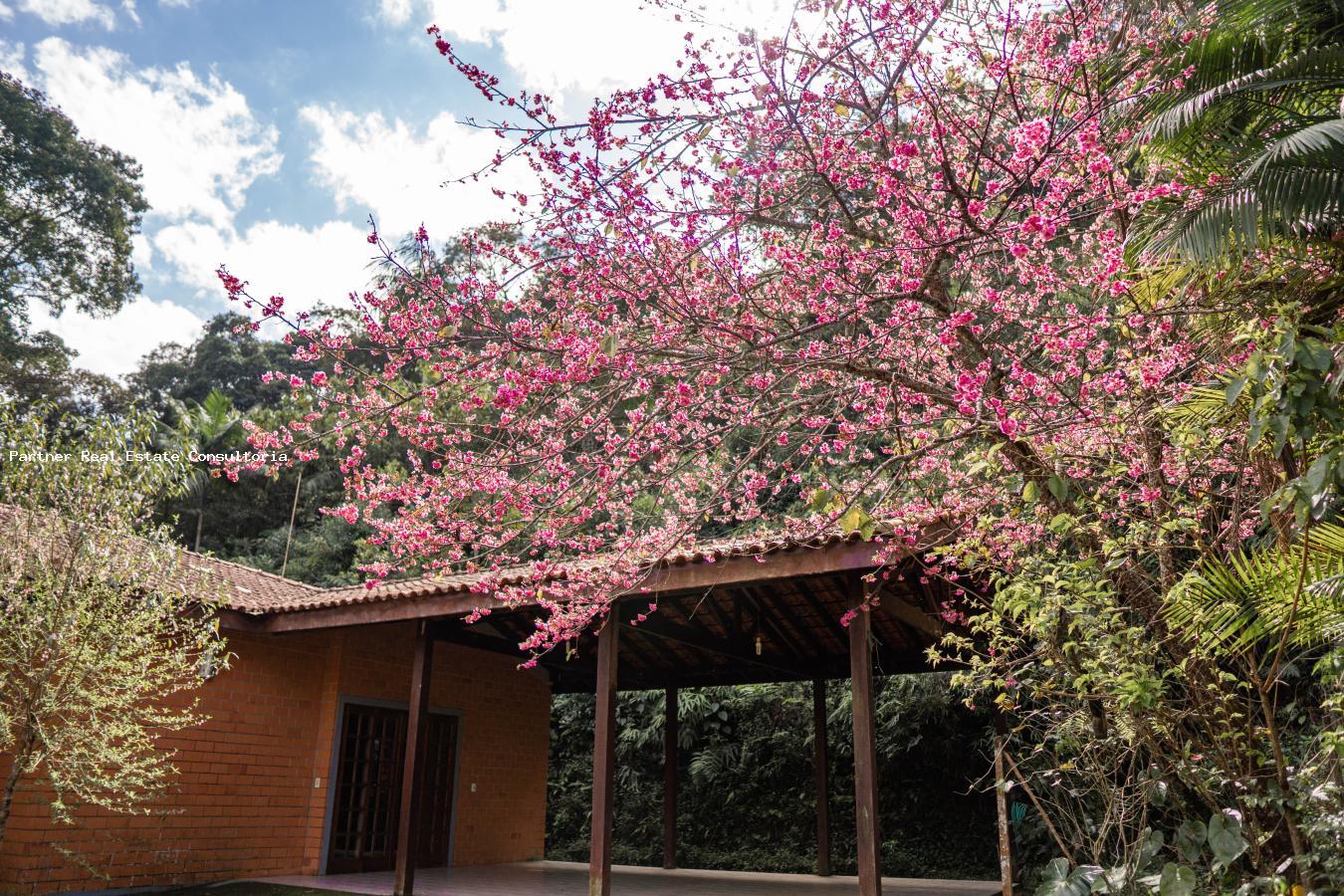 Casa, 3 quartos, 79 m² - Foto 30