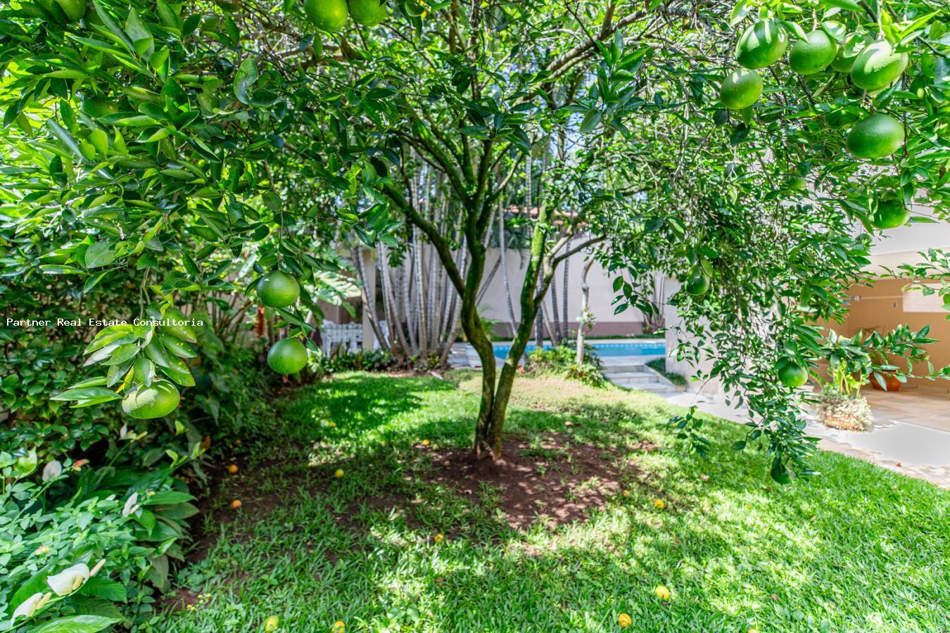 Casa, 3 quartos, 400 m² - Foto 49