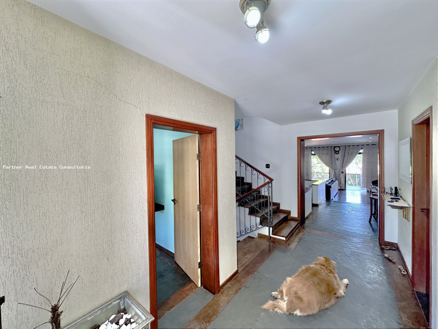 Casa, 5 quartos, 550 m² - Foto 19