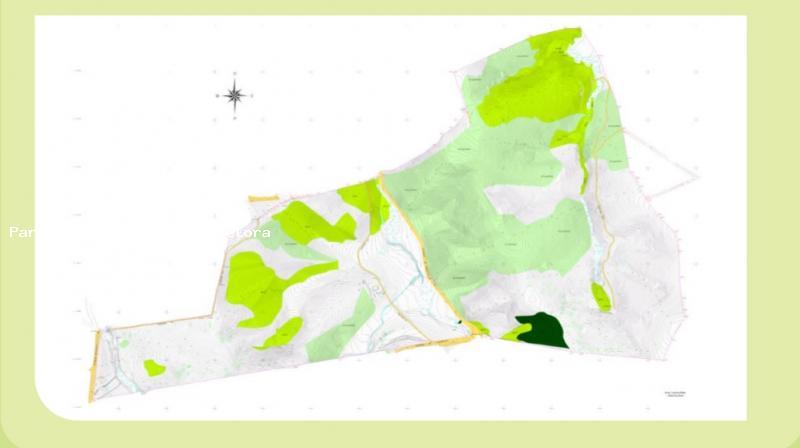 Terreno, 1028832 m² - Foto 3