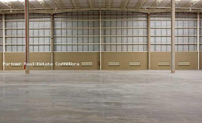Depósito-Galpão, 4303 m² - Foto 5