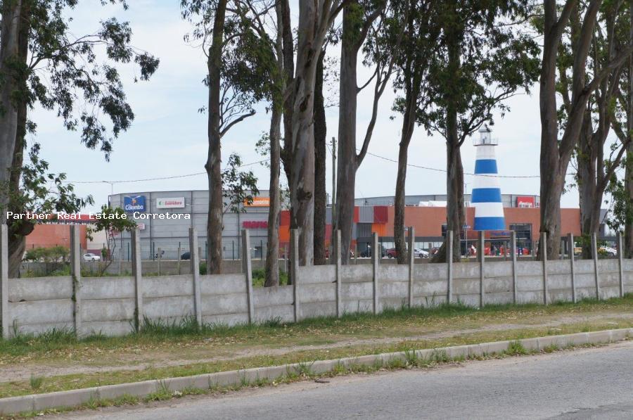 Terreno, 24630 m² - Foto 4