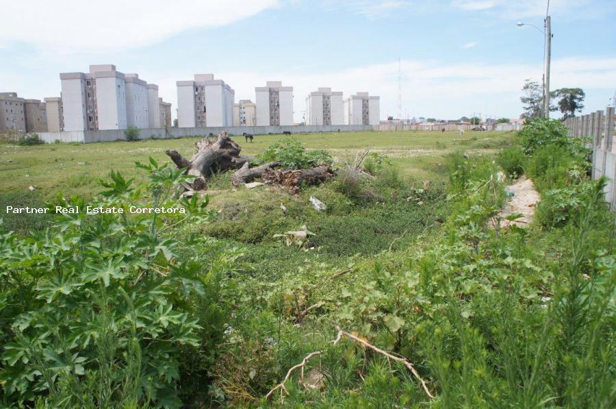 Terreno, 24630 m² - Foto 16