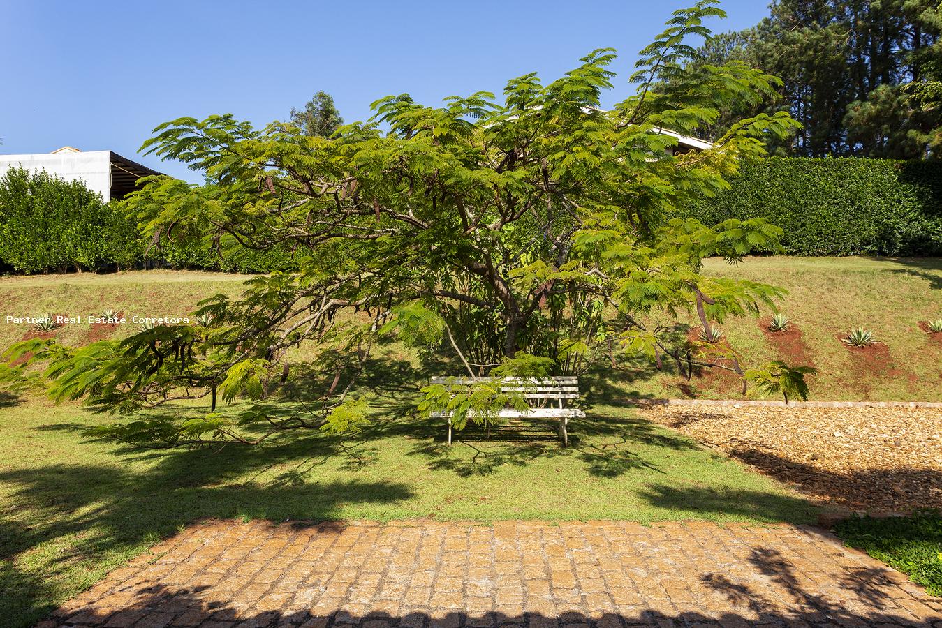 Casa à venda com 4 quartos, 20000m² - Foto 15
