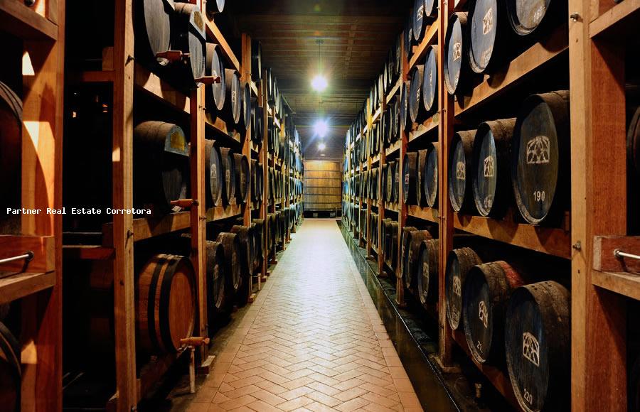 Terreno, 1742 m² - Foto 7