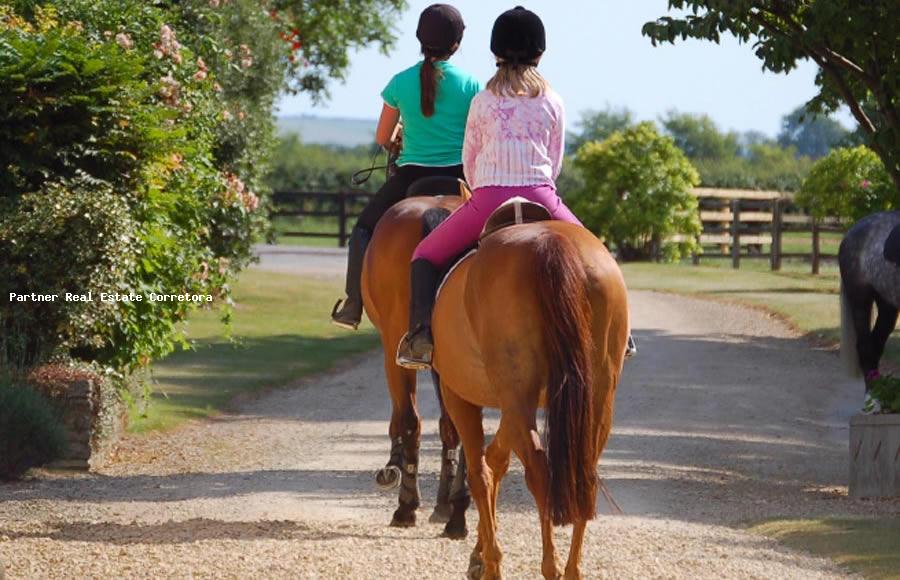 Terreno, 3151 m² - Foto 17