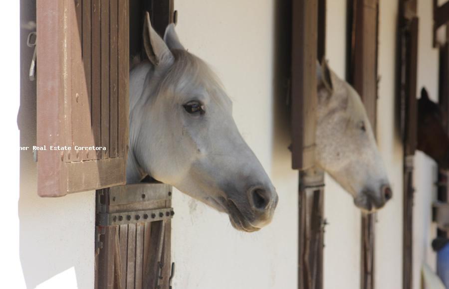 Terreno, 3151 m² - Foto 15