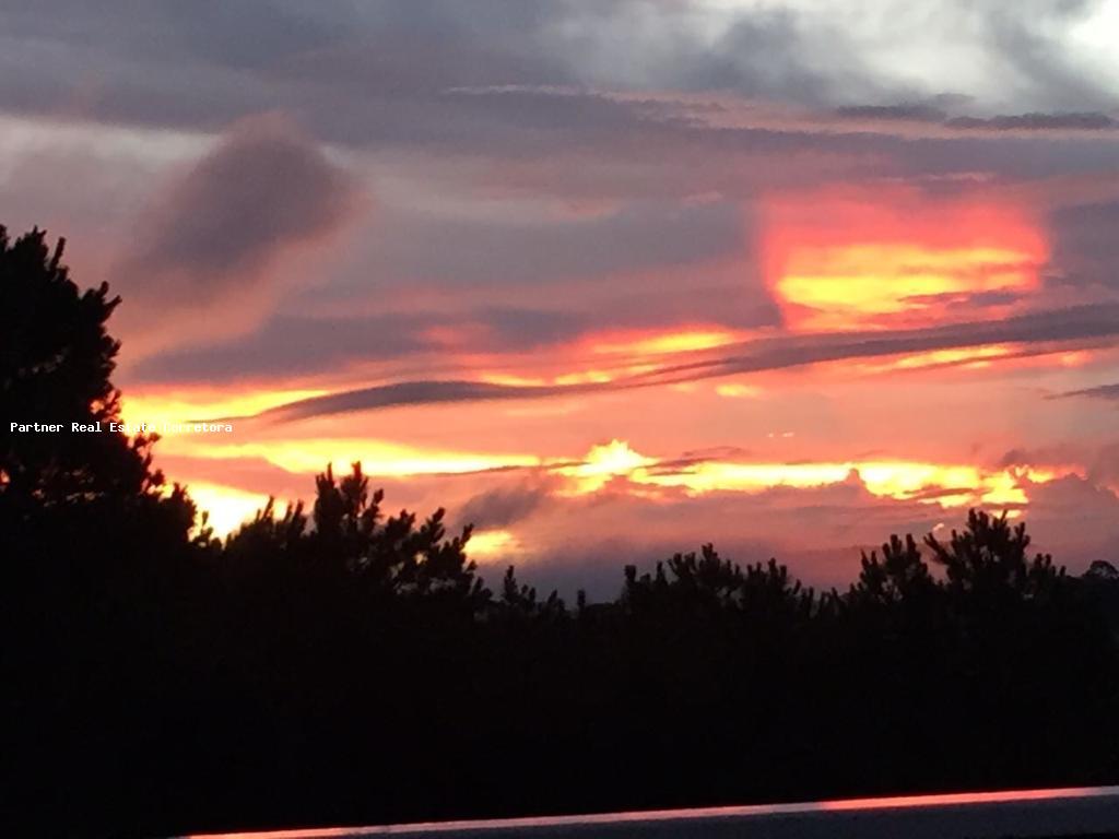 Casa, 5 quartos, 5550 m² - Foto 3