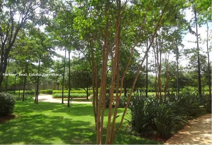 Cobertura, 5 quartos, 813 m² - Foto 20