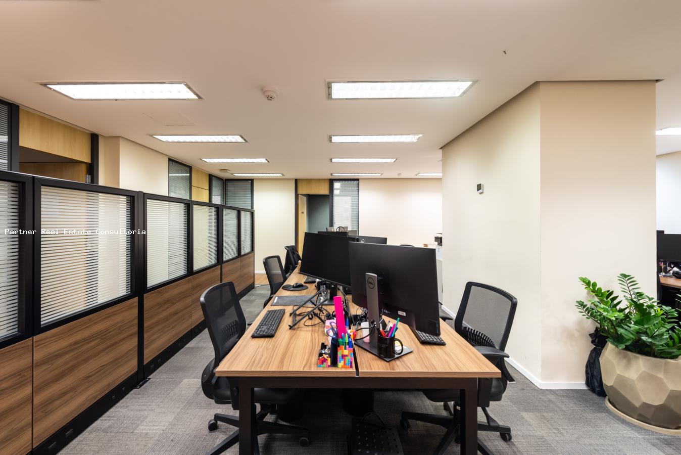 Sala-Conjunto, 509 m² - Foto 12