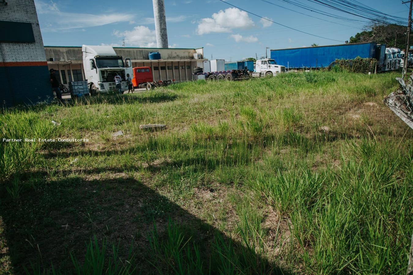 Depósito-Galpão-Armazém à venda, 31000m² - Foto 4