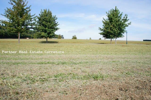 Terreno, 3162 m² - Foto 12