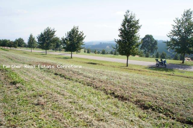 Terreno, 3162 m² - Foto 5