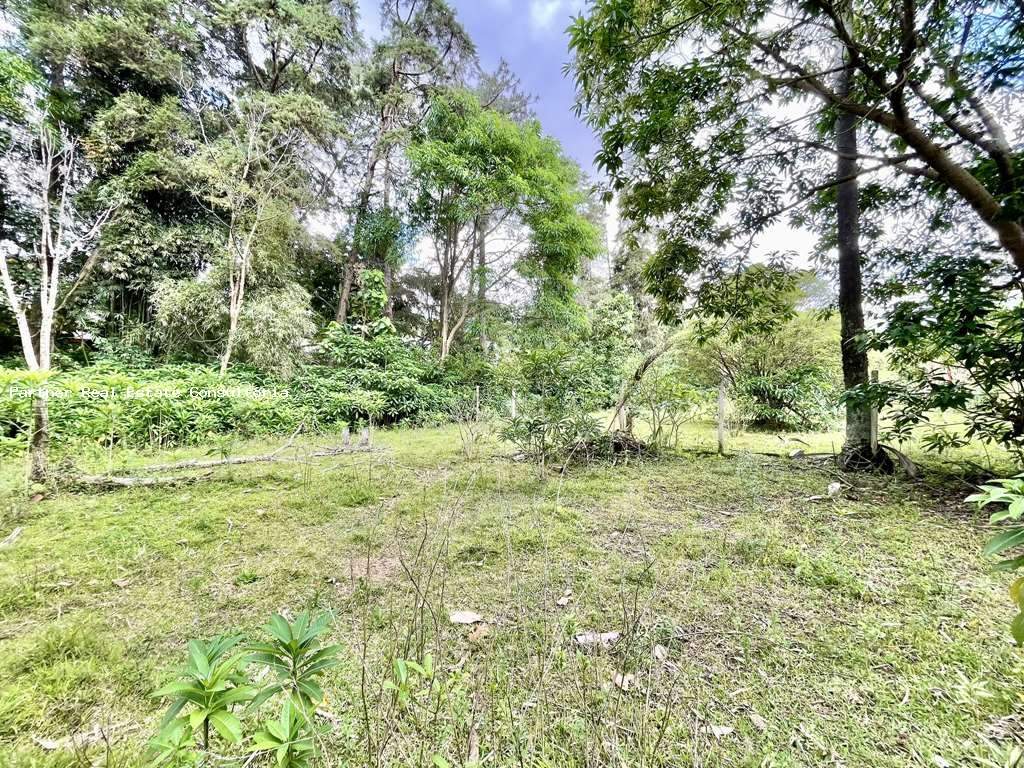 Apartamento, 5 quartos, 7088 m² - Foto 19