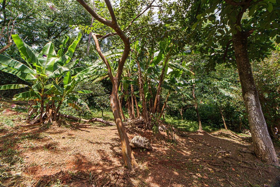 Casa, 4 quartos, 420 m² - Foto 15
