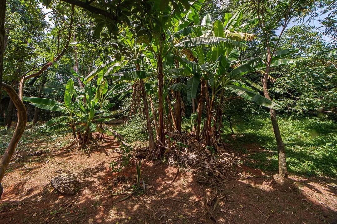 Casa, 4 quartos, 420 m² - Foto 18