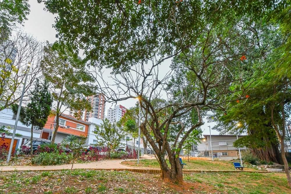 Casa, 4 quartos, 257 m² - Foto 13