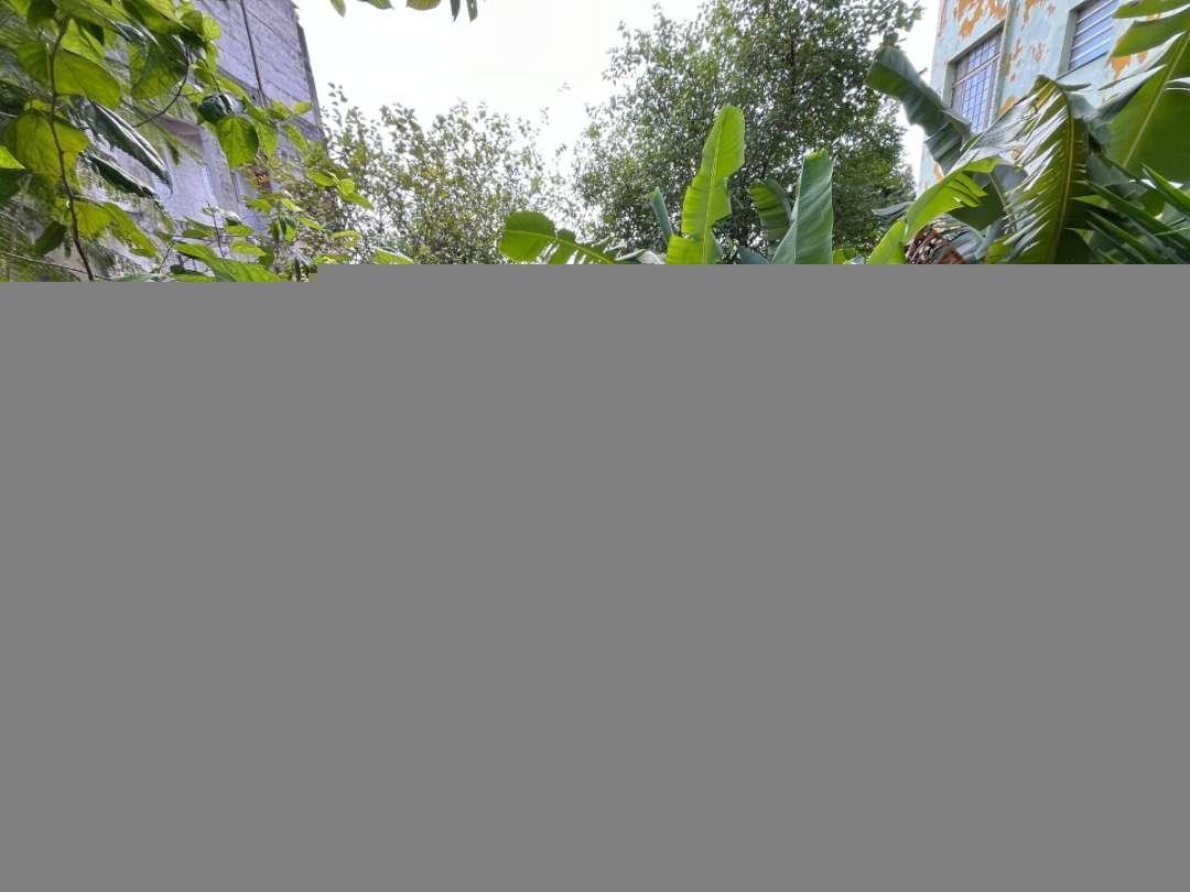 Apartamento, 20 quartos, 585 m² - Foto 13